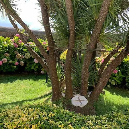 Apartamento Con Jardin Santander Exterior photo